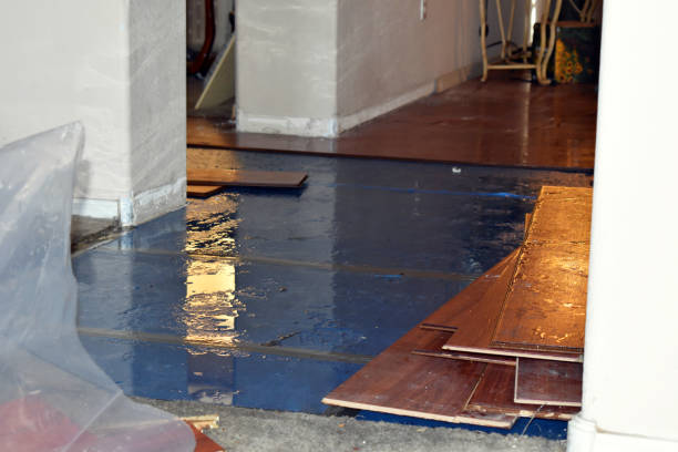 Professional Basement Flood Cleanup technician working in Old Washington, OH